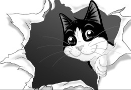 Снеки для котів Felix — коли та як використовувати ласощі без шкоди для харчування?