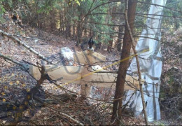 У лісі одного з центральних повітів Румунії мисливець знайшов дрон із парашутом, який заплутався в деревах. ФОТО