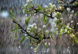Сильні контрасти: синоптики розповіли, якою буде погода до кінця весни