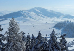 Утікав від мобілізації і помер у горах. У румунських Карпатах знайшли тіло 28-річного українця
