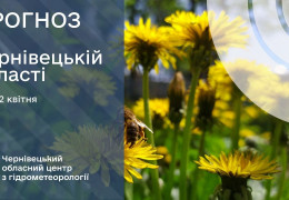 Рясно зацвіли садки, а на Буковині очікуються заморозки до мінус 3