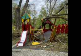 Дерево впало прямо на дитячу гірку у Новоселиці - двоє дітей отримали серйозні травми, їх госпіталізували