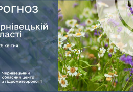 У горах досі заморозки. Погода на Буковині у неділю, 26 квітня
