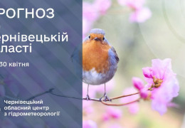 Погода на Буковині: ще трішки заморозків, і потім одразу літо?