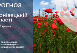 На Буковині потеплішає до +25°: синоптики прогнозують сухий та вітряний понеділок