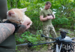 На Запоріжжі військові евакуювали кішку з п’ятьма кошенятами за допомогою дрона