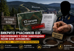 Біля «Буковелю» викрили схему незаконного заволодіння лісовими землями на 38 млн грн: до банди входив працівник прокуратури