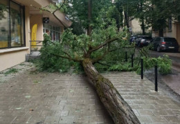 Понівечені авто та зірвані дахи: шквальний вітер і злива за лічені хвилини затопили Львів