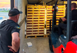 Контрабанда зі смаком полуниці: на Буковині у контрабандистів вилучили замасковані під ягоди сигарети вартістю майже 20 млн грн
