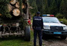 Світлана Ісаченко: В лісовому господарстві країни — сущий армагедон. Що чекати Буковині від зміни галузевих керівників?