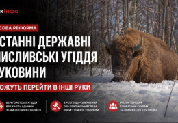 Берегомет може втратити останні державні мисливські угіддя Буковини: журналістка б’є на сполох