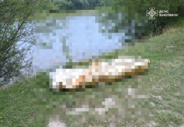 На Буковині знайшли мертвим 8-річного хлопчика, якого шукали майже дві доби. Стало відомо, чому пошуки були складними