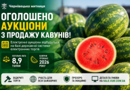 Чернівецька митниця продає на аукціоні турецькі кавуни. Що по чому...