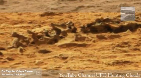 Уфологи твердять, що на Марсі знайдено залишки якоїсь потвори (ВІДЕО)
