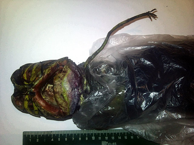 Росіянка 2 роки тримала в морозилці труп інопланетянина (фото)