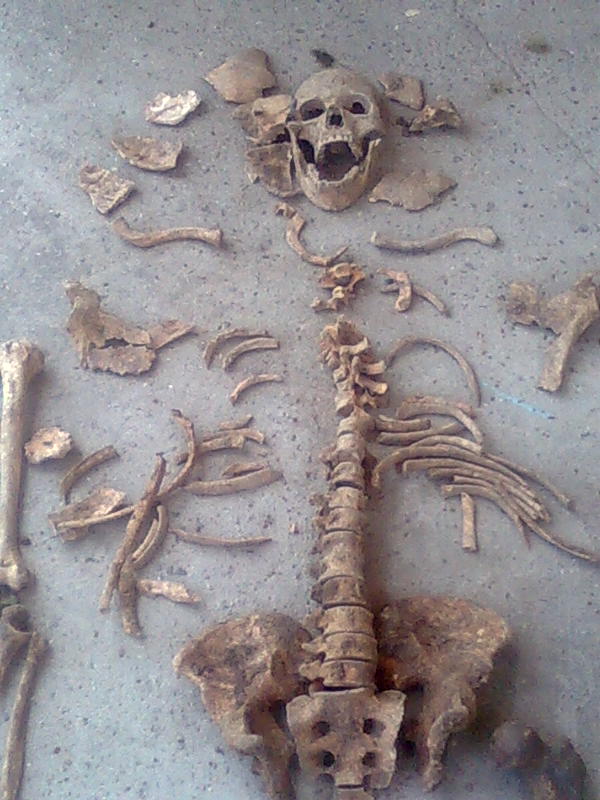 У селі Подвірне знайшли поховання воїна. Знахідку попередньо датують XVII – XVIII століттям